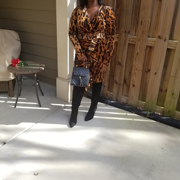 Leopard Velvet Dress - Picture 6 of 8